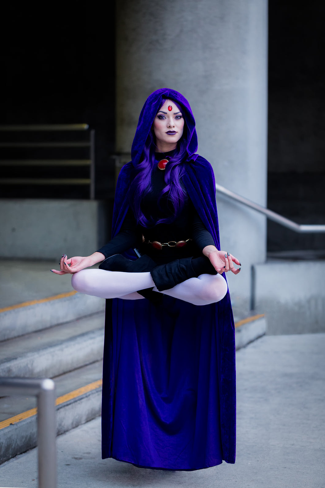 Raven 8x10